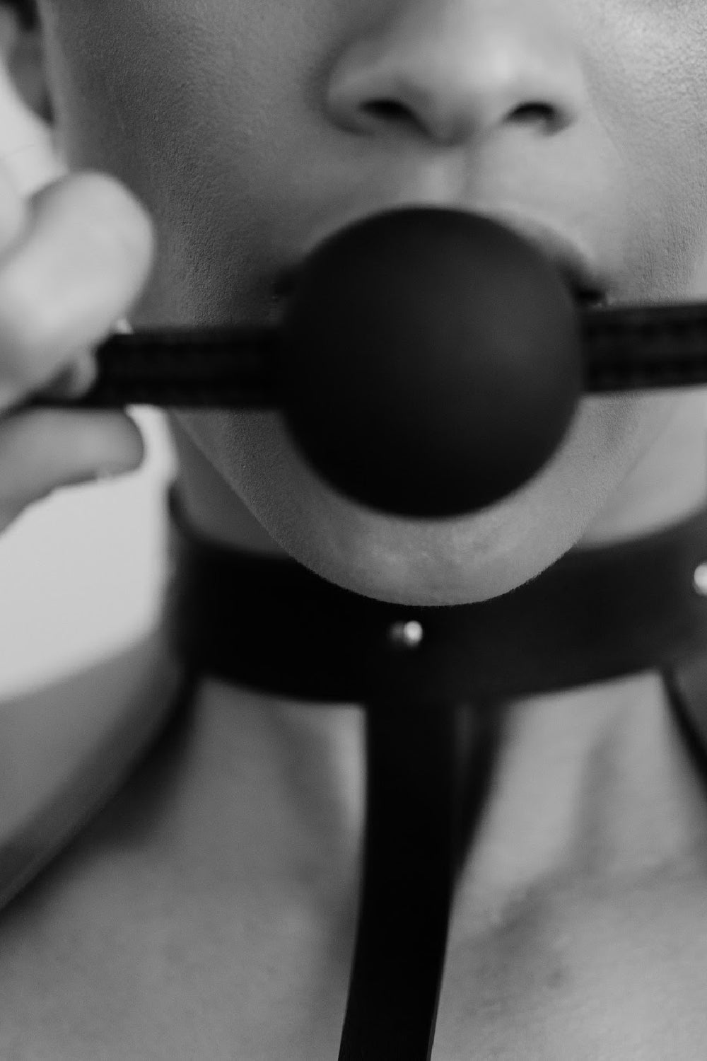 Mordaça Fifty Shades Bound to You