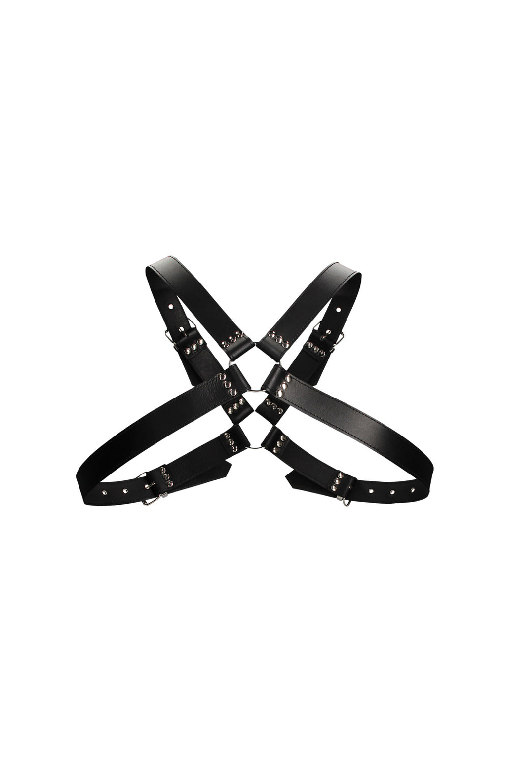 Leather Harness with Large Buckle - One Size