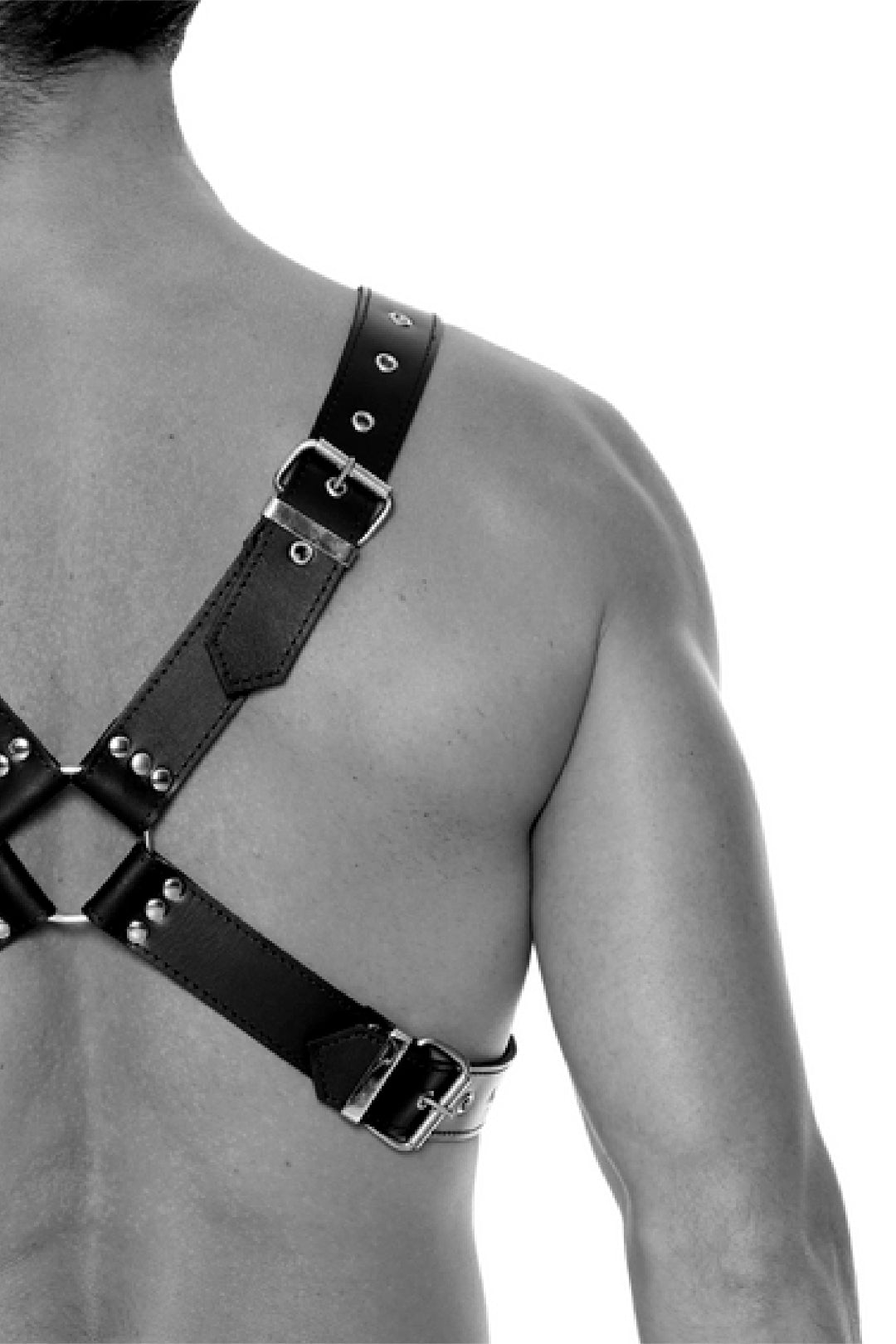 Leather Harness with Large Buckle - One Size