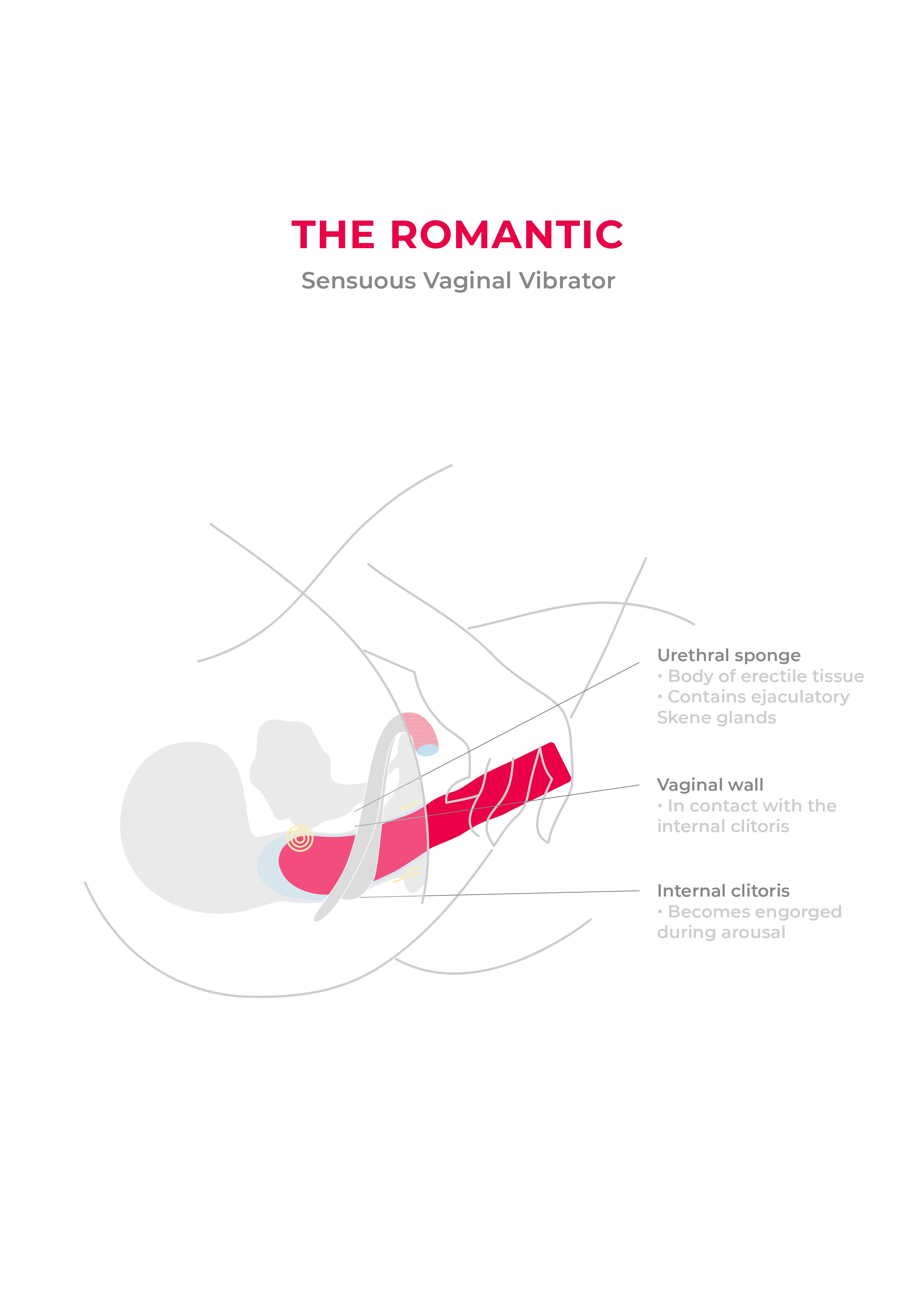 The Romantic