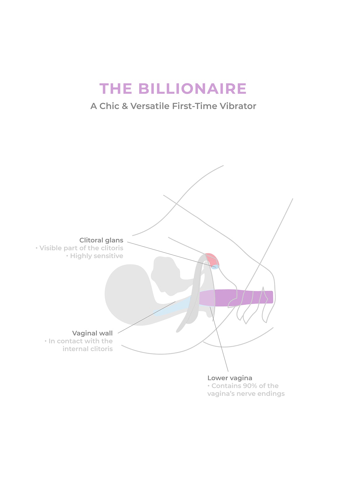 The Billionaire