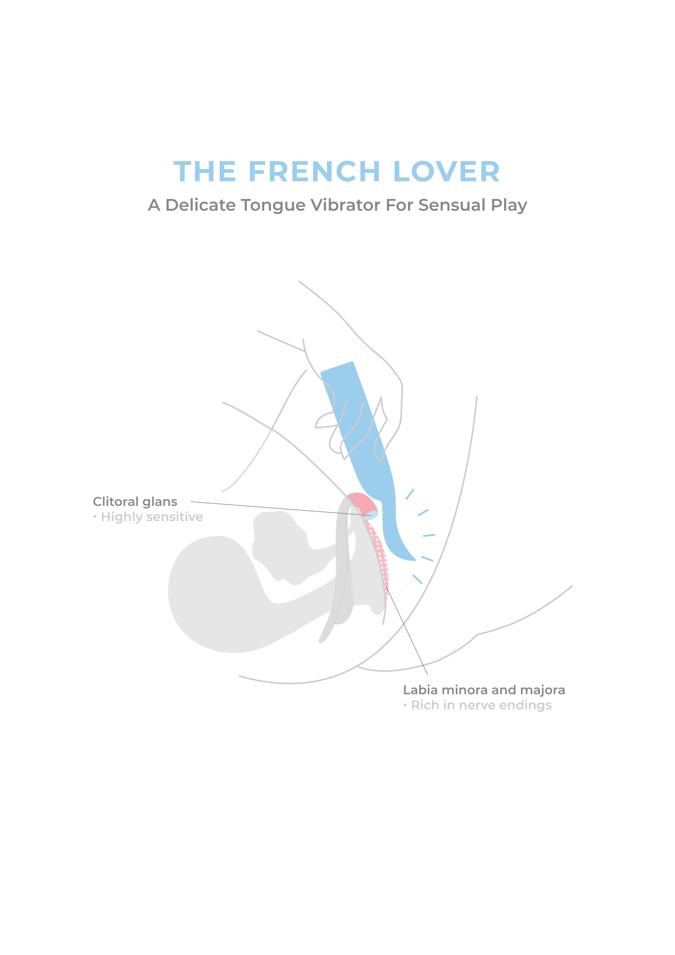 The French Lover