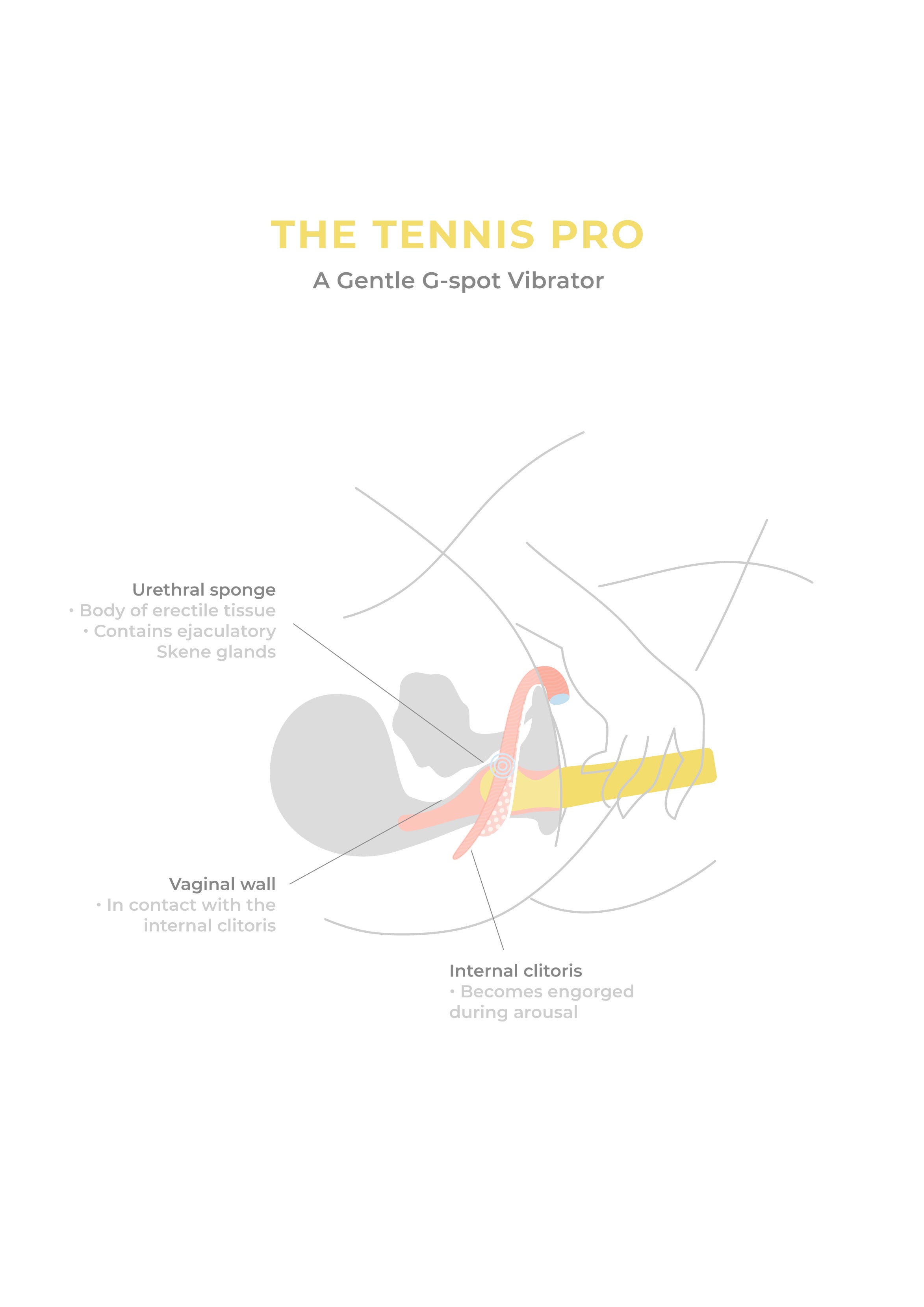 The Tennis Pro