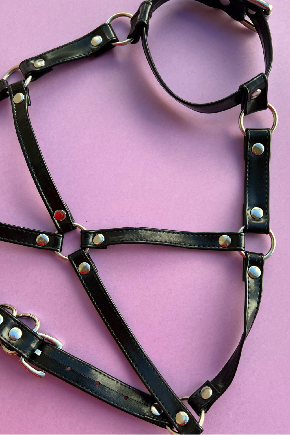 Adjustable Cupless Harness for a Daring Look